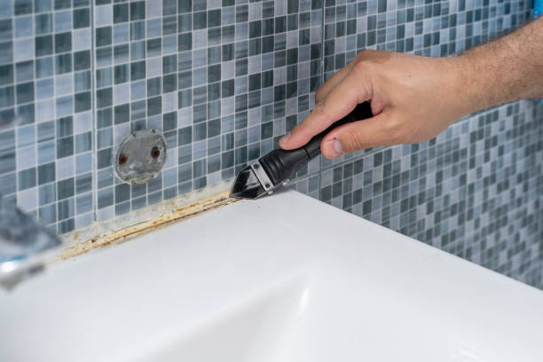Best Office Mold Removal Services  in Cedarville, OH